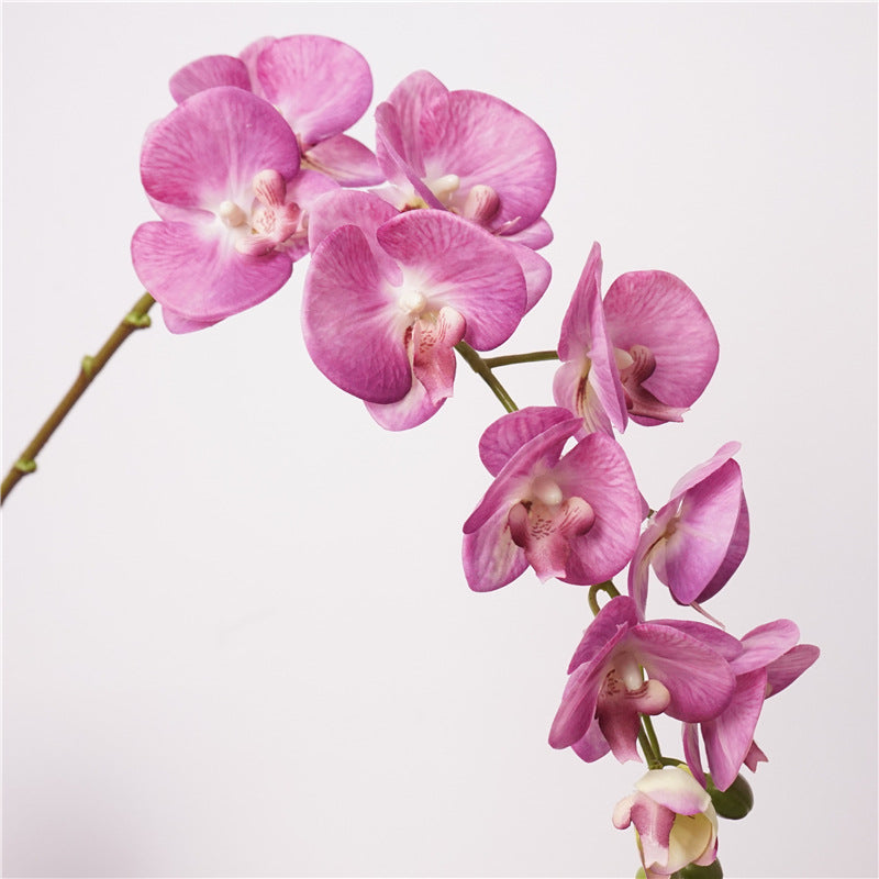 Artificial Real-Touch 10-Head Lausanne Phalaenopsis Orchid