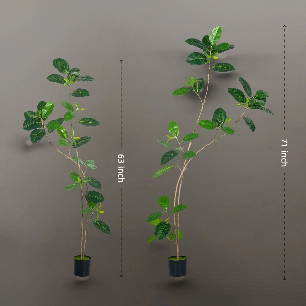 Artificial Ficus Benghalensis Tree – Indoor Potted Plant | Green Rubber Tree