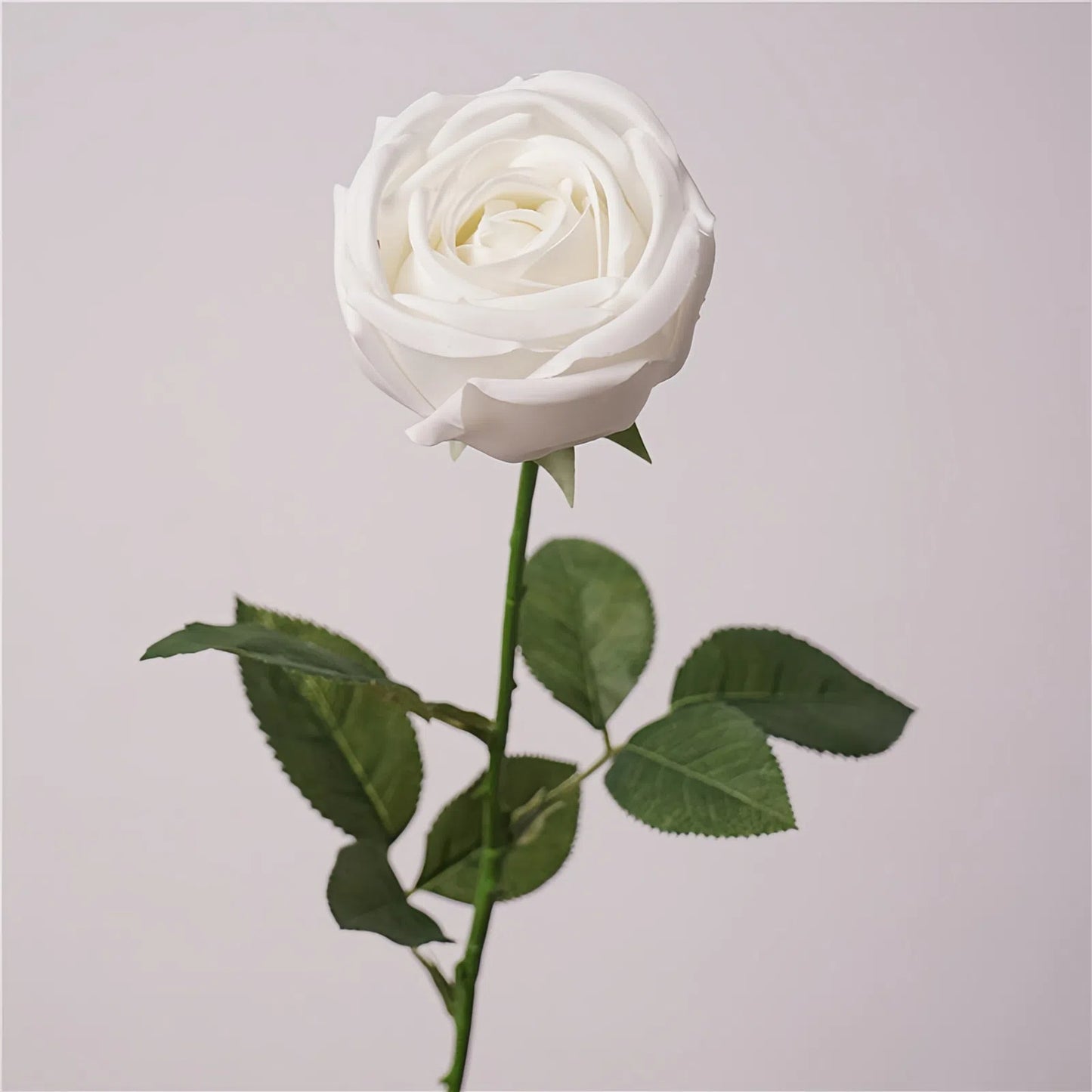 Artificial White Crown Rose Stem – 25.6" Real-Touch Premium Single Stem for Home & Wedding Décor