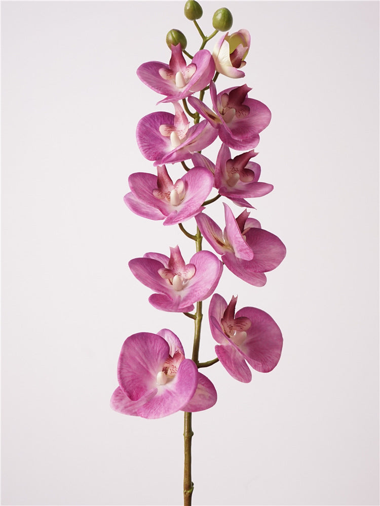 Artificial Real-Touch 10-Head Lausanne Phalaenopsis Orchid