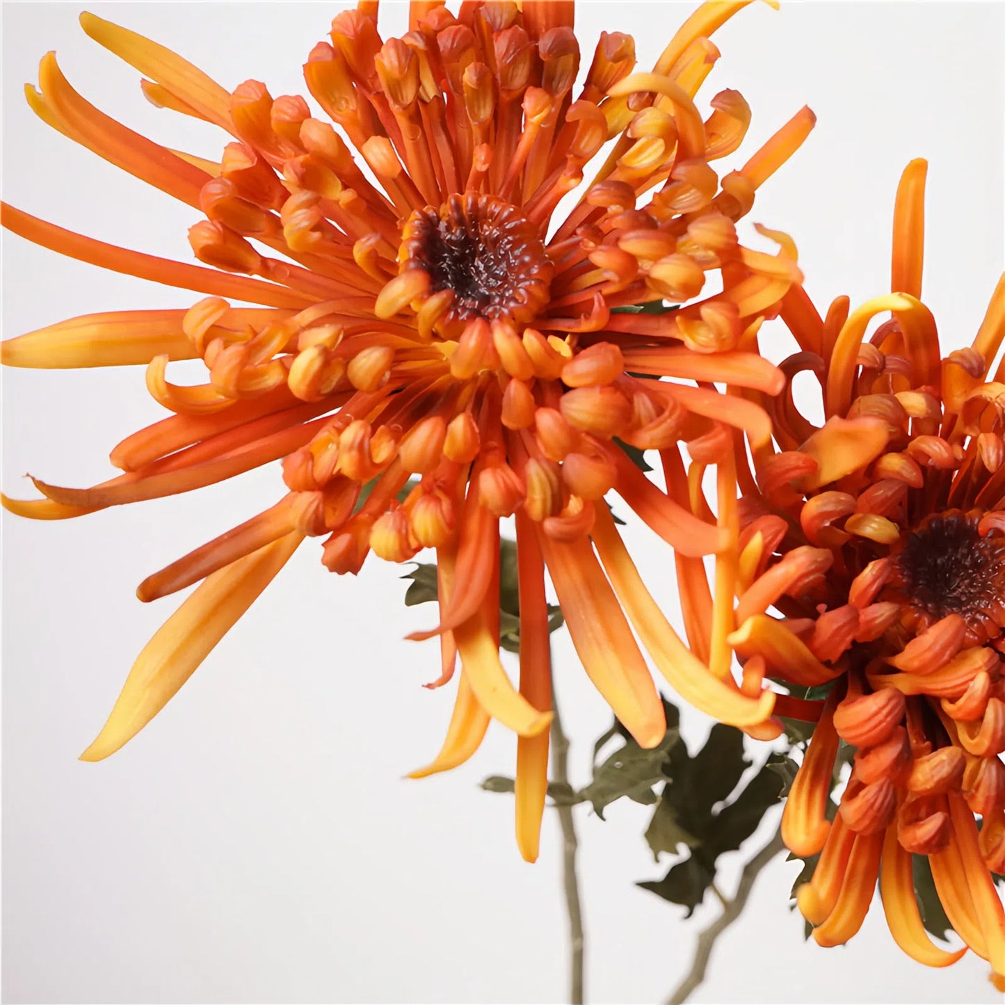 Artificial Orange Autumn Chrysanthemum Stem – 26" Lifelike Premium Single Stem for Home & Wedding Décor