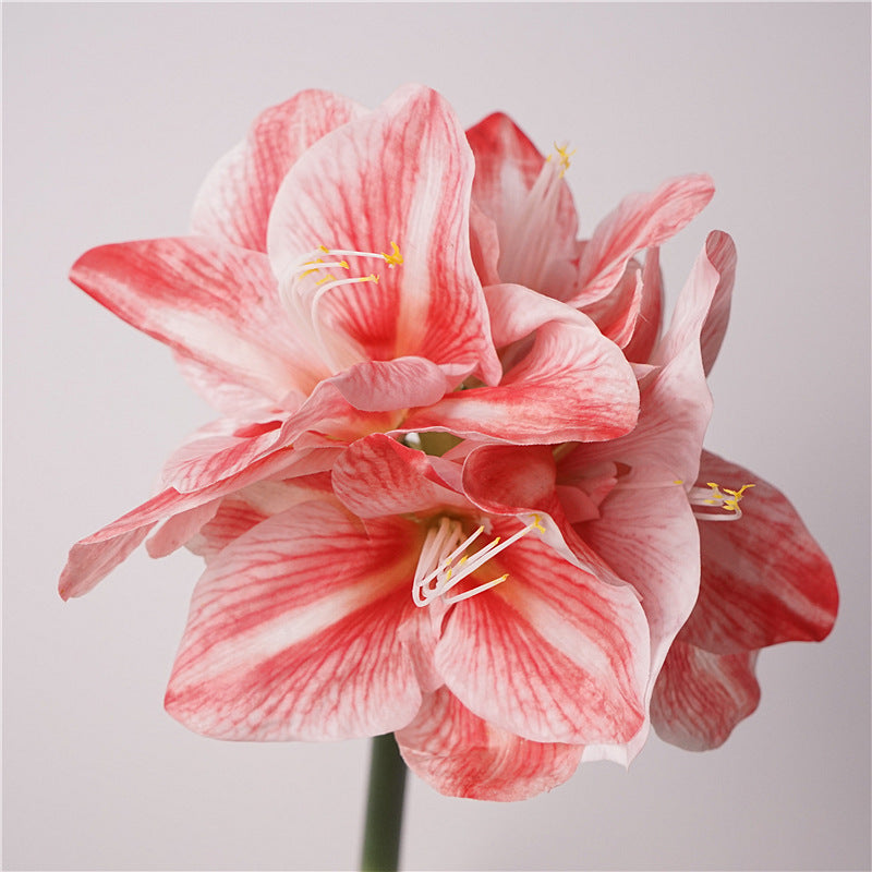 Artificial Amaryllis Stem – 24.8" Premium Real-Touch Moisture-Retaining Faux Flower with 4 Blooms for Wedding & Home Décor
