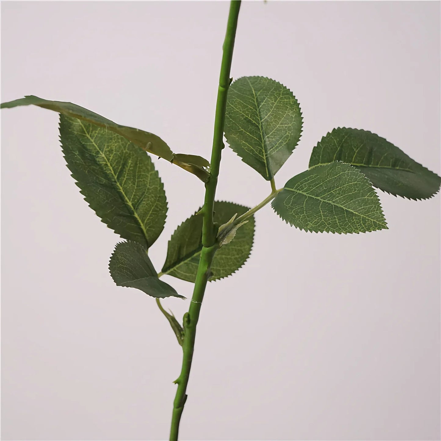 Artificial White Crown Rose Stem – 25.6" Real-Touch Premium Single Stem for Home & Wedding Décor