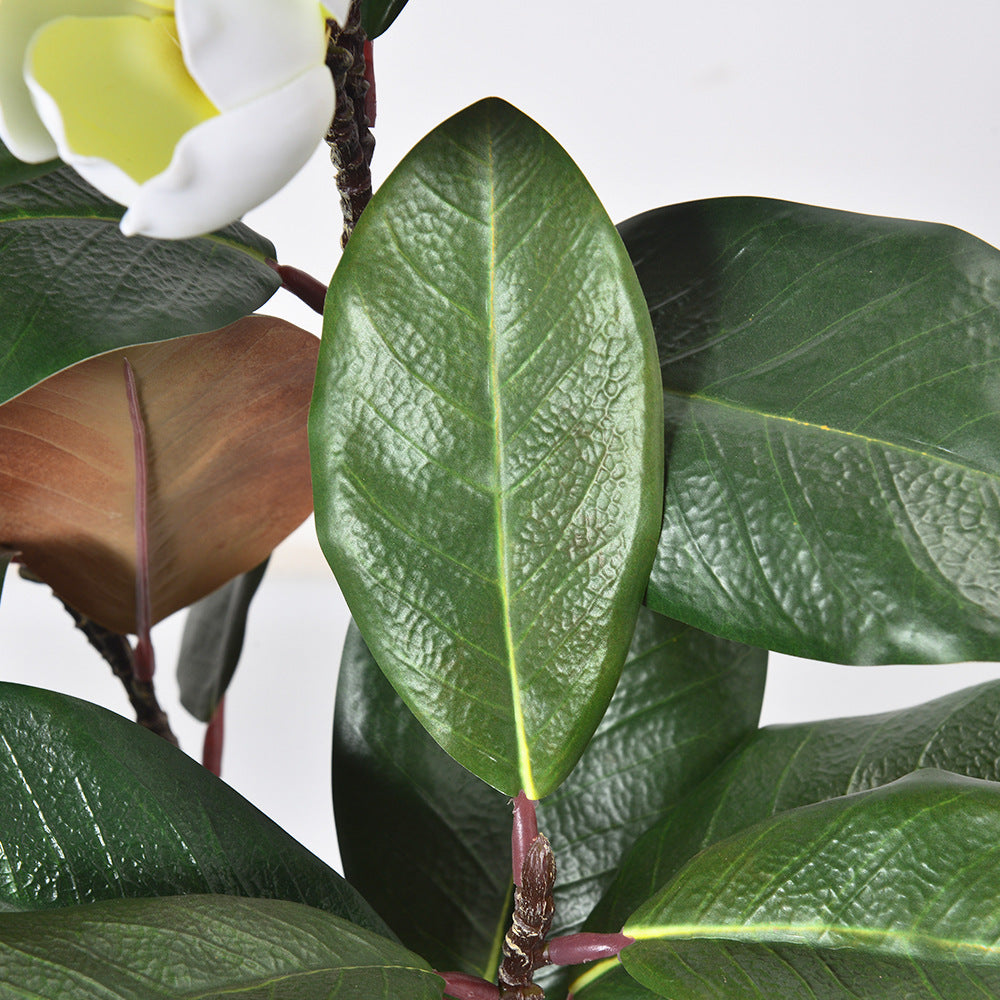 Artificial Magnolia Tree – White Blooms & Lush Green Leaves