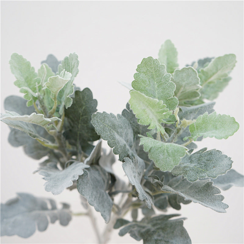 Leaves