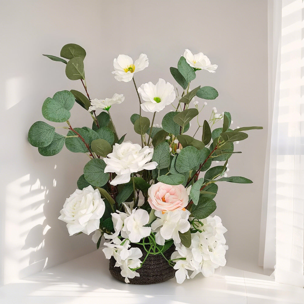 Store Display
