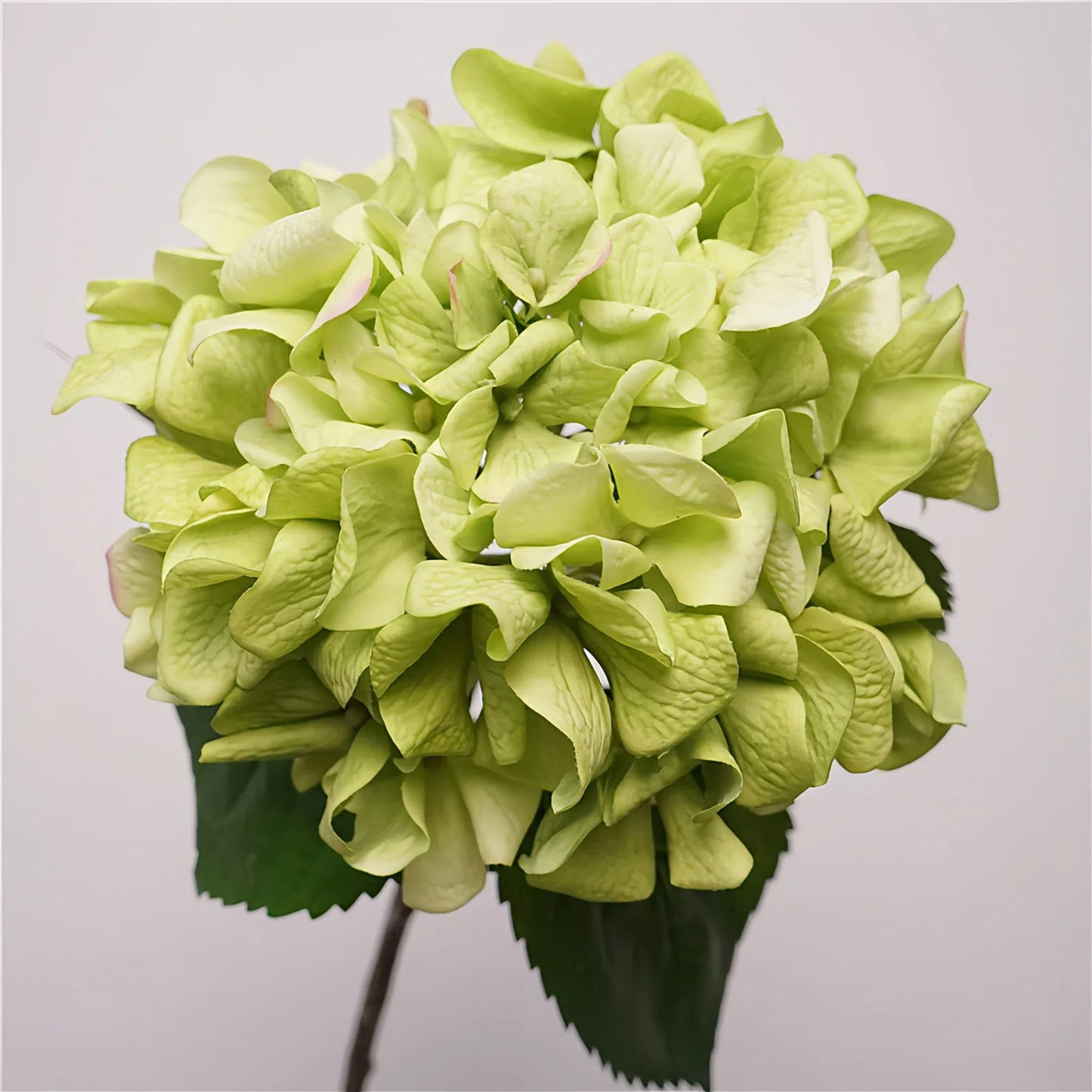 High-Quality Real-Touch Hydrangea Stem
