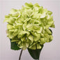 High-Quality Real-Touch Hydrangea Stem