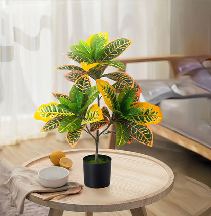 Artificial Golden Ficus Plant – Yellow-Green (2ft / 3ft, Plastic)