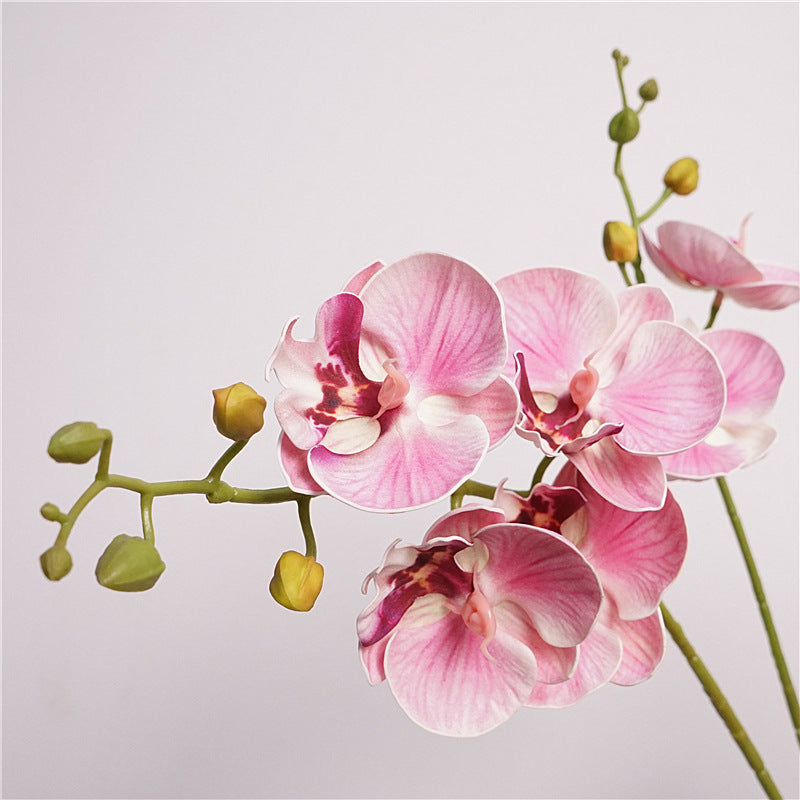 Artificial Butterfly Orchid Stem – 22" Premium EVA Faux Phalaenopsis for Wedding, Home & Event Décor