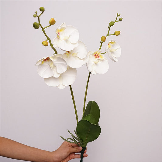 Artificial Butterfly Orchid Stem – 22" Premium EVA Faux Phalaenopsis for Wedding, Home & Event Décor