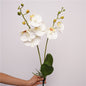 Artificial Butterfly Orchid Stem – 22" Premium EVA Faux Phalaenopsis for Wedding, Home & Event Décor