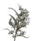 Artificial Eucalyptus Fruit Stem – 29.9" High-Quality Faux Plant for Home Décor, Floral Arrangements & Photography Props