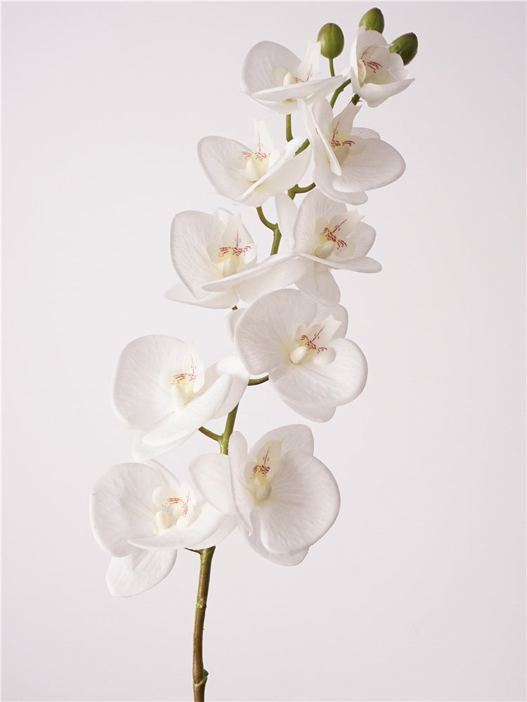 Artificial Real-Touch 10-Head Lausanne Phalaenopsis Orchid