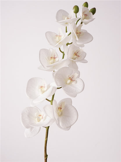 Artificial Real-Touch 10-Head Lausanne Phalaenopsis Orchid