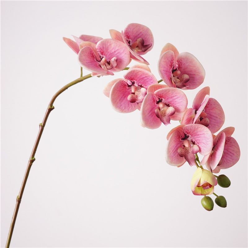 Artificial Real-Touch 10-Head Lausanne Phalaenopsis Orchid