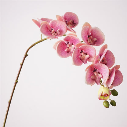 Artificial Real-Touch 10-Head Lausanne Phalaenopsis Orchid