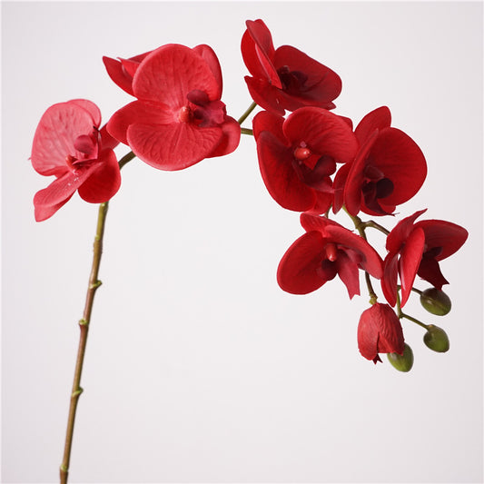 Artificial Real-Touch 10-Head Lausanne Phalaenopsis Orchid