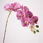 Artificial Real-Touch 10-Head Lausanne Phalaenopsis Orchid