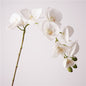Artificial Real-Touch 10-Head Lausanne Phalaenopsis Orchid