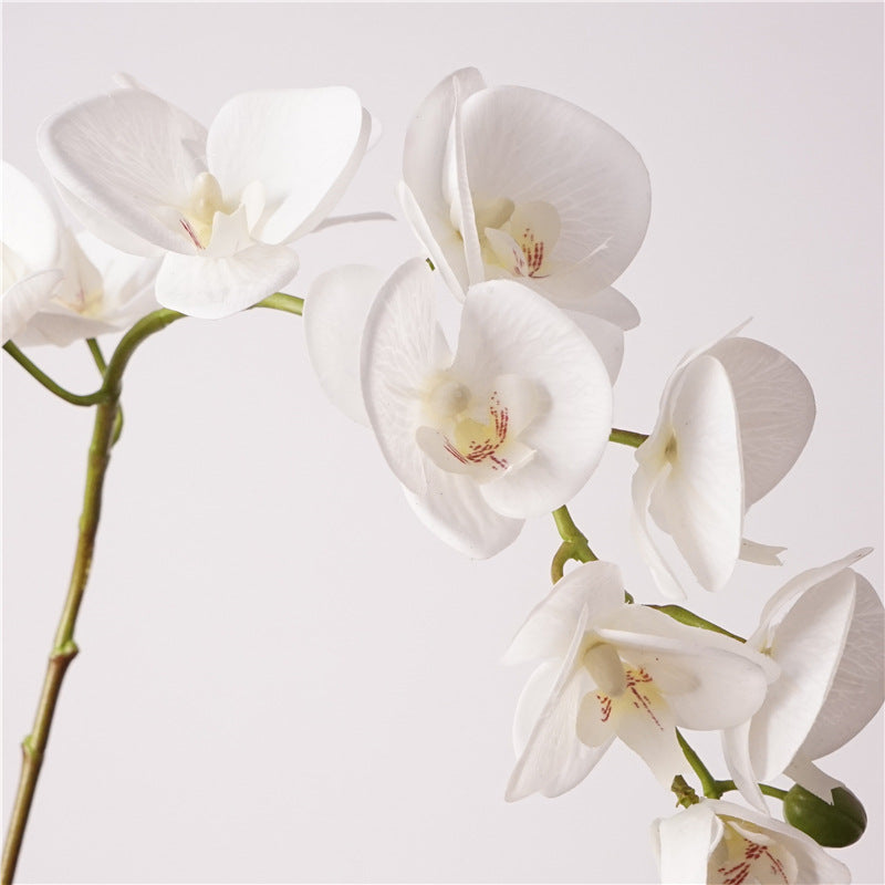 Artificial Real-Touch 10-Head Lausanne Phalaenopsis Orchid