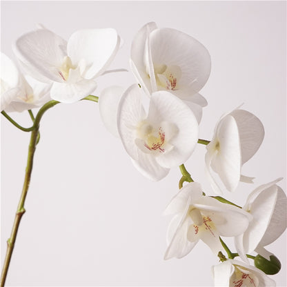 Artificial Real-Touch 10-Head Lausanne Phalaenopsis Orchid