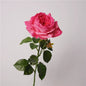 Artificial Juliet Rose Stem – 27.6" Premium Real-Touch Moisture-Retaining Faux Flower for Wedding & Home Décor