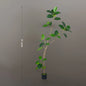 Artificial Ficus Benghalensis Tree – Indoor Potted Plant | Green Rubber Tree
