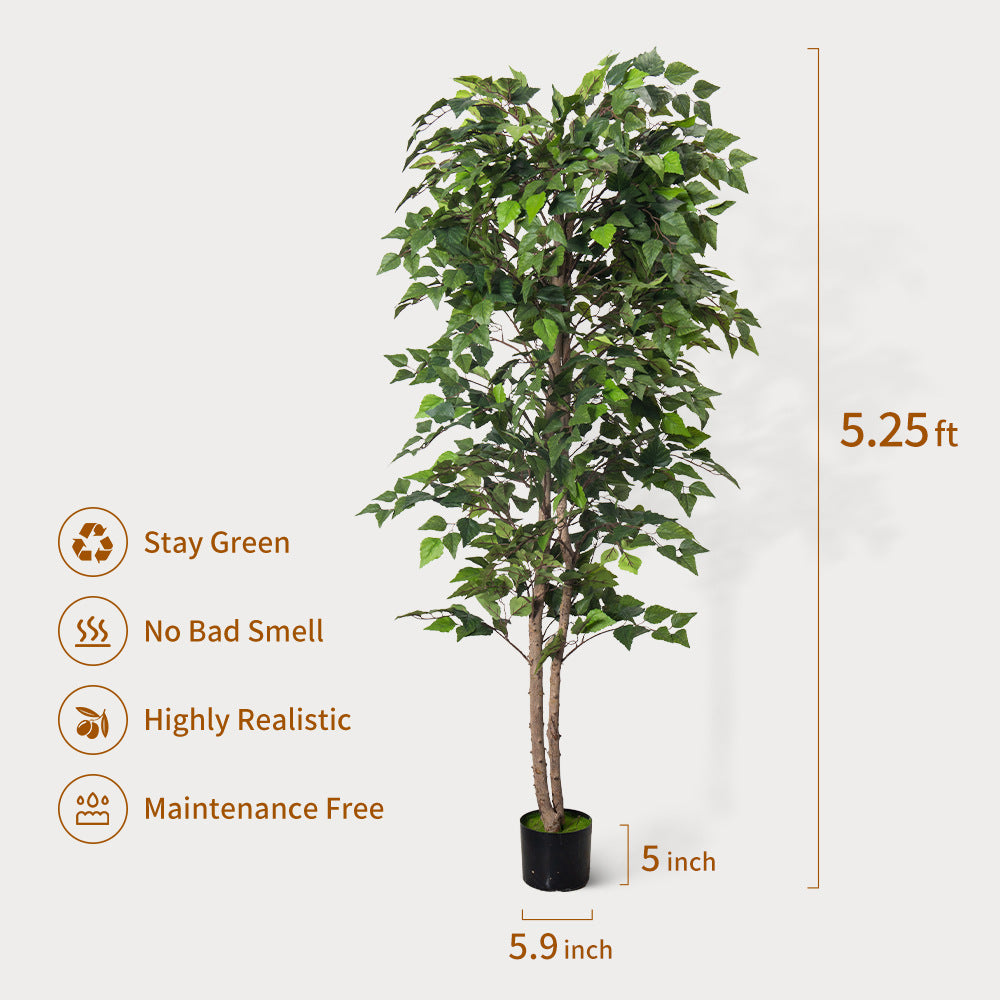 Artificial Green Birch Tree – Lifelike Soft PVC Decoration (4ft / 5.2ft)