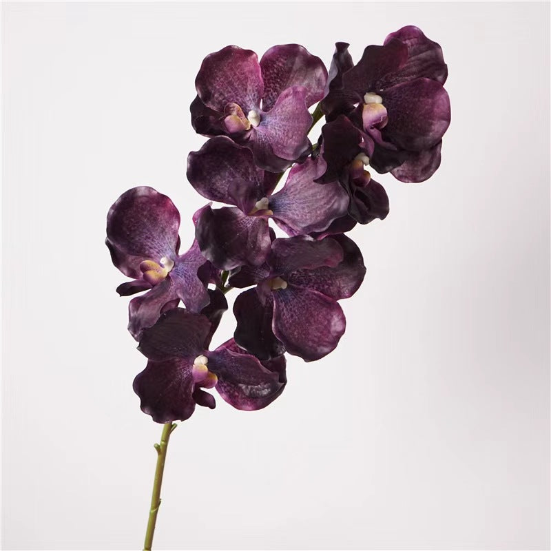 Artificial Vanda Orchid Stem – 31" Premium Real-Touch Moisture-Retaining Faux Flower for Wedding & Home Décor