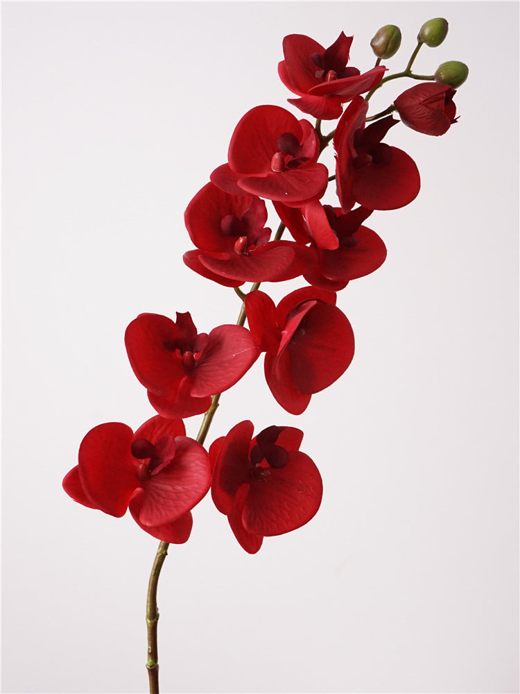 Artificial Real-Touch 10-Head Lausanne Phalaenopsis Orchid