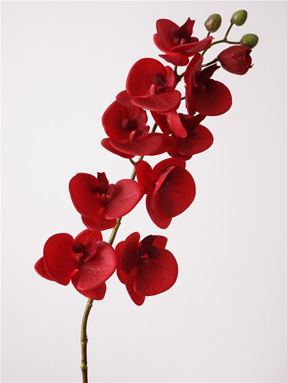 Artificial Real-Touch 10-Head Lausanne Phalaenopsis Orchid
