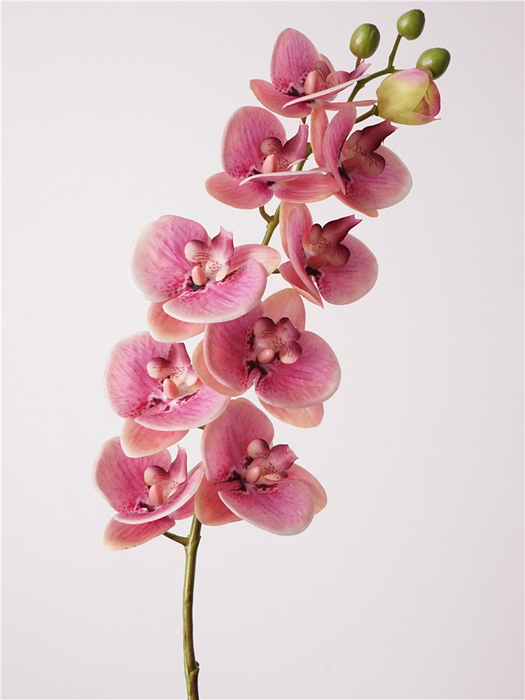 Artificial Real-Touch 10-Head Lausanne Phalaenopsis Orchid