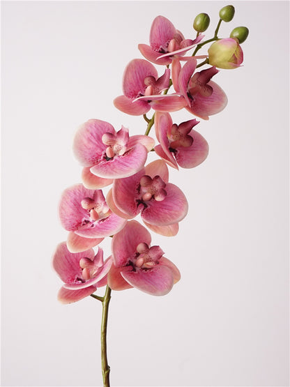 Artificial Real-Touch 10-Head Lausanne Phalaenopsis Orchid