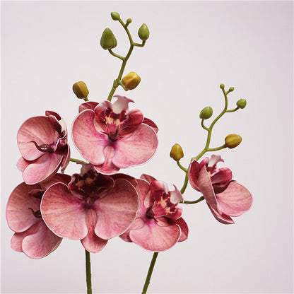 Artificial Butterfly Orchid Stem – 22" Premium EVA Faux Phalaenopsis for Wedding, Home & Event Décor