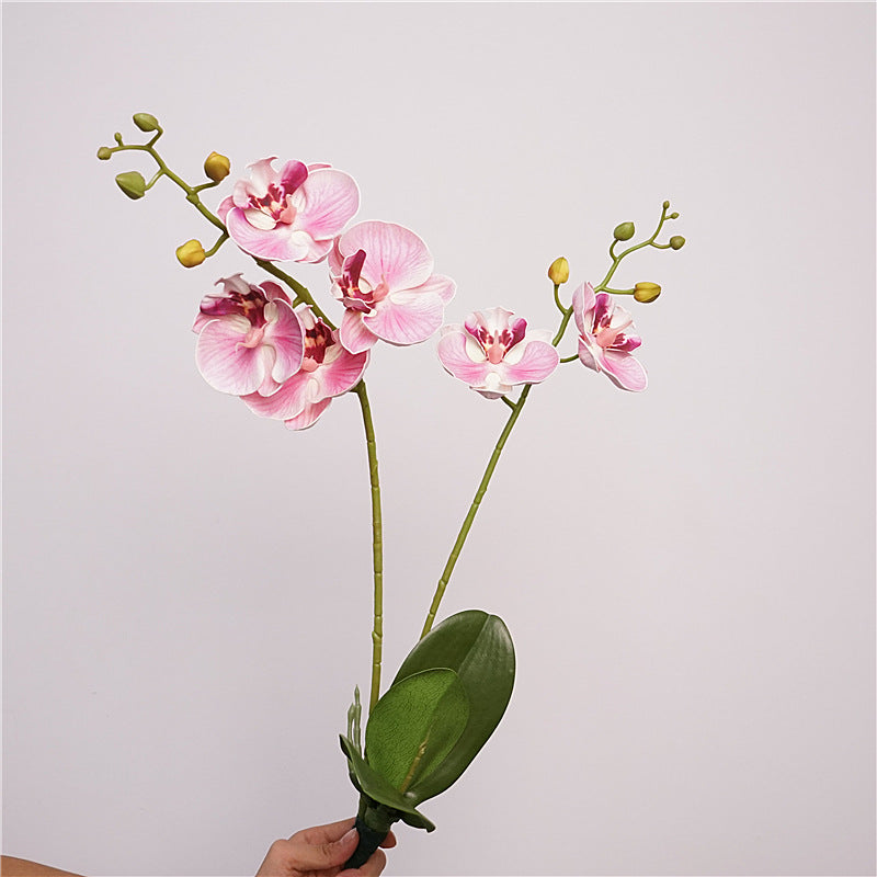 Artificial Butterfly Orchid Stem – 22" Premium EVA Faux Phalaenopsis for Wedding, Home & Event Décor