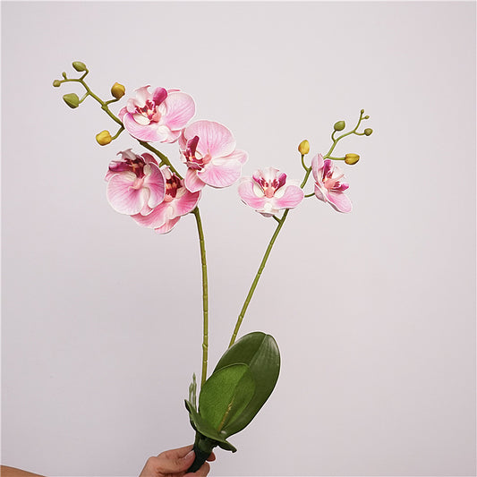Artificial Butterfly Orchid Stem – 22" Premium EVA Faux Phalaenopsis for Wedding, Home & Event Décor