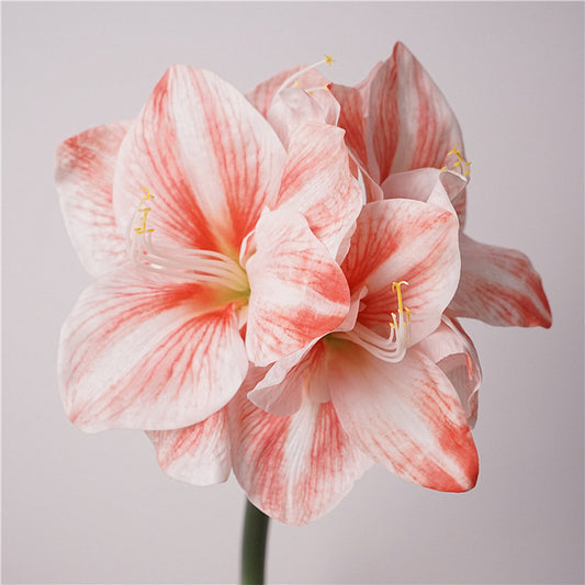 Artificial Amaryllis Stem – 24.8" Premium Real-Touch Moisture-Retaining Faux Flower with 4 Blooms for Wedding & Home Décor