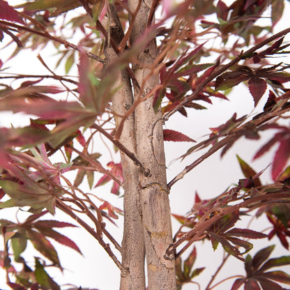 Artificial Purple Maple Tree – Lifelike Decorative Tree