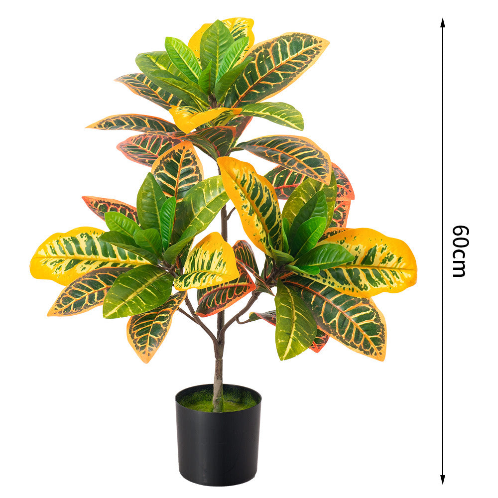 Artificial Golden Ficus Plant – Yellow-Green (2ft / 3ft, Plastic)