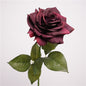 Artificial Large Rose Stem – 25.6" Premium Real-Touch Moisture-Retaining Faux Flower for Home & Wedding Décor