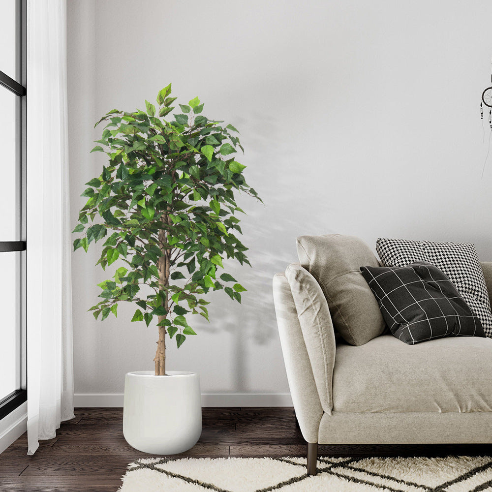 Artificial Green Birch Tree – Lifelike Soft PVC Decoration (4ft / 5.2ft)