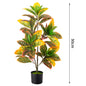 Artificial Golden Ficus Plant – Yellow-Green (2ft / 3ft, Plastic)