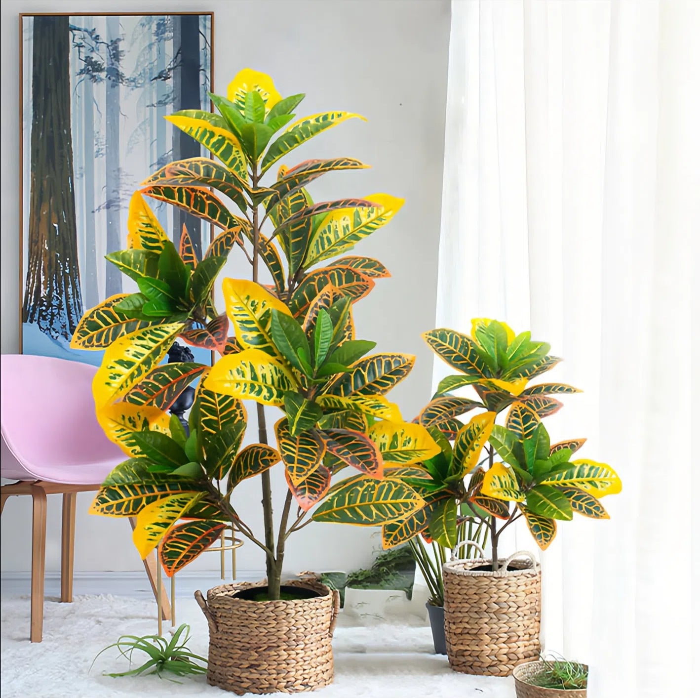 Artificial Golden Ficus Plant – Yellow-Green (2ft / 3ft, Plastic)
