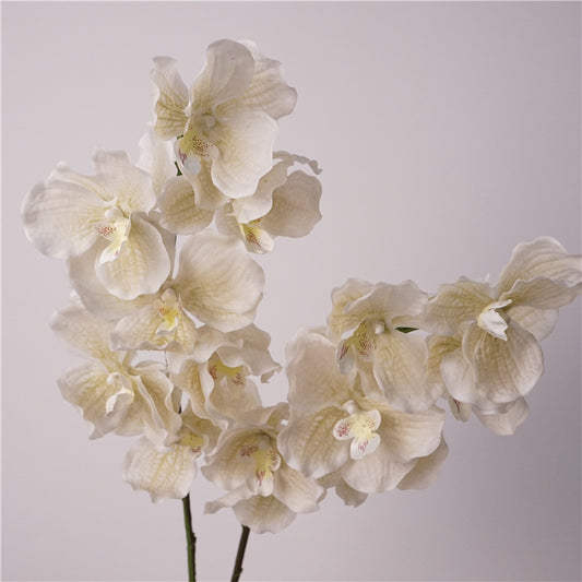Artificial Vanda Orchid Stem – 31" Premium Real-Touch Moisture-Retaining Faux Flower for Wedding & Home Décor