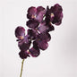 Artificial Vanda Orchid Stem – 31" Premium Real-Touch Moisture-Retaining Faux Flower for Wedding & Home Décor