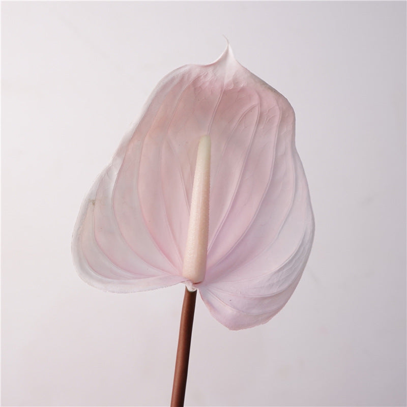 Artificial Soft-Touch Anthurium