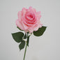 Artificial Large Rose Stem – 25.6" Premium Real-Touch Moisture-Retaining Faux Flower for Home & Wedding Décor