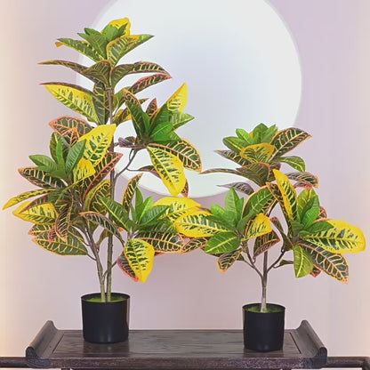 Artificial Golden Ficus Plant – Yellow-Green (2ft / 3ft, Plastic)